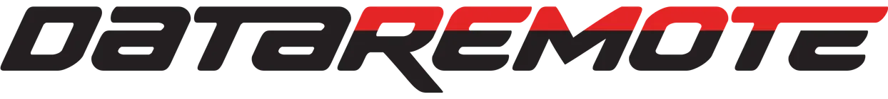 DataRemote primary two-color logotype