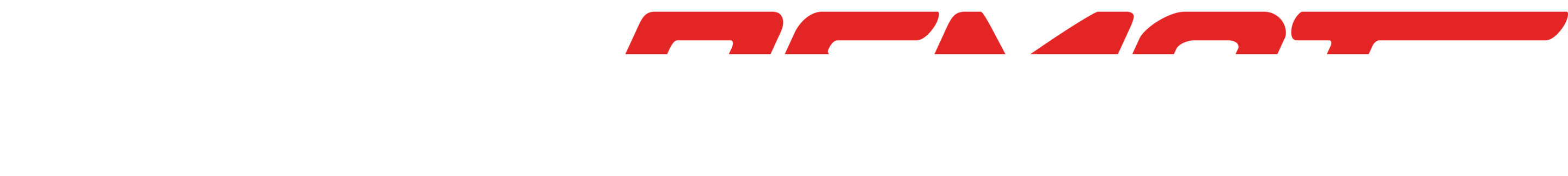 DataRemote reversed logo